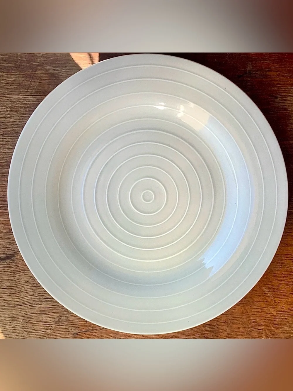 Anna Nilsson IKEA 365 Beige Taupe Concentric Ringed 12.75” Plate